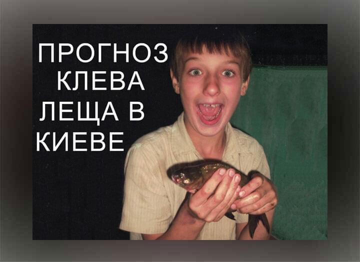 Prognoz kleva leshcha